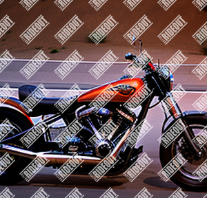 TestPhoto-4